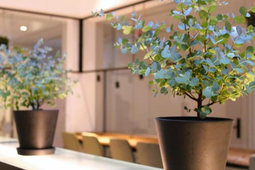 BEE GREEN Linz Self-Check-in-Hotel, 