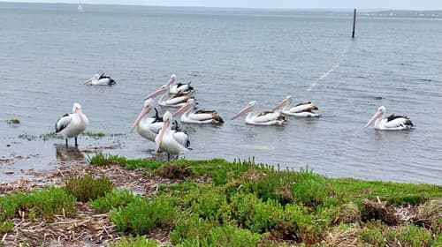 The River Suites, Kangaroo Island, 