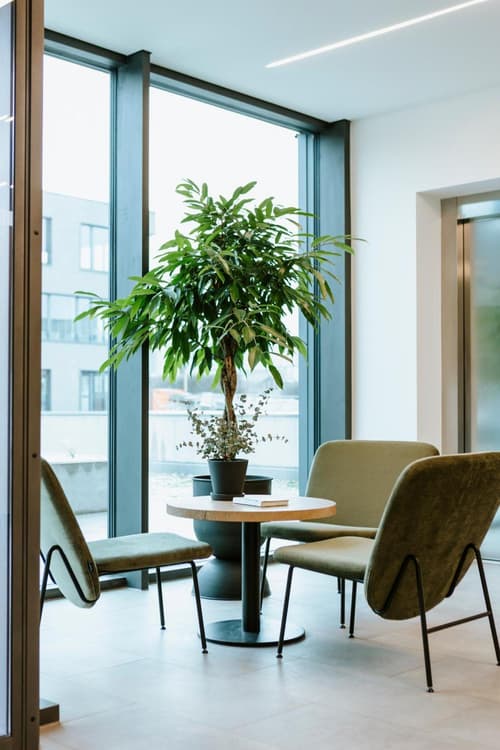 BEE GREEN Linz Self-Check-in-Hotel, 