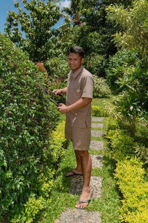 Alamanda Lovina Resort, 