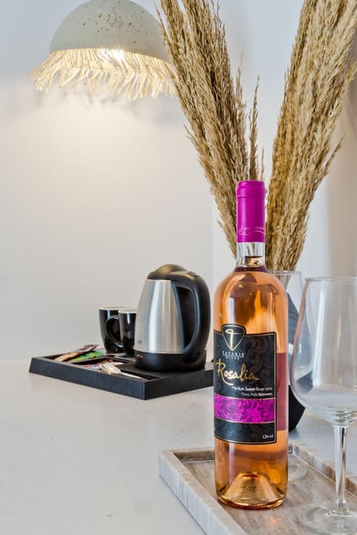 Diana Art Boutique Hotel, 