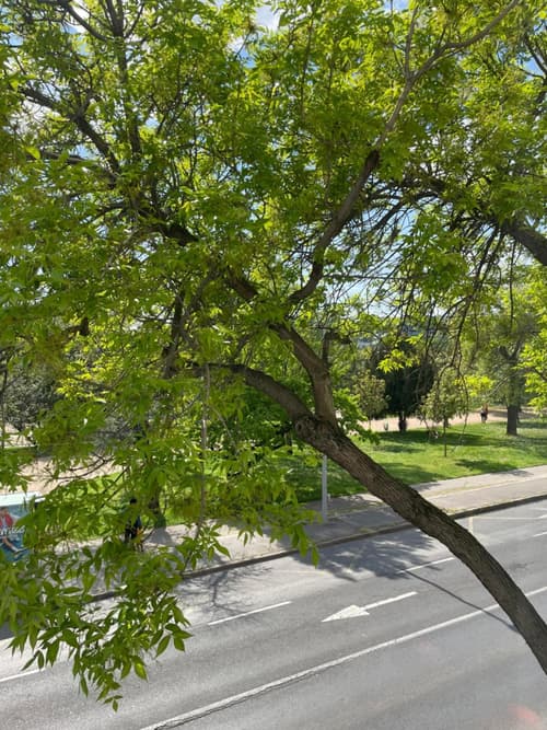 Heart & Cherry Residency, 