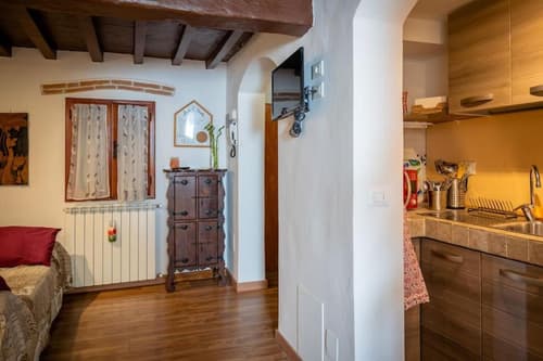 Monica appartamento con giardino al Ponte Vecchio, 