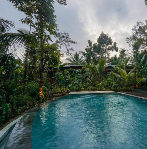 Daydream Lodge Tegallalang, 