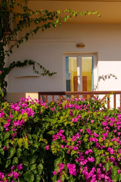 Dedalos Beach Hotel, 