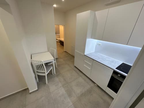 Krásny byt - veľký apartmán v blízkosti centra, 