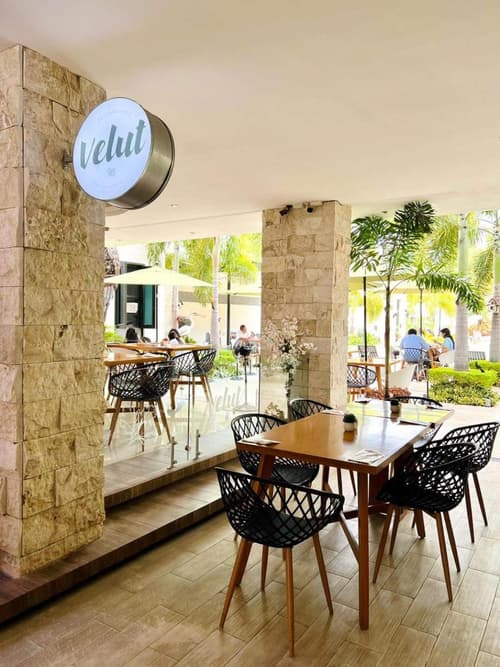 Hotel & Suites Country Valladolid, 