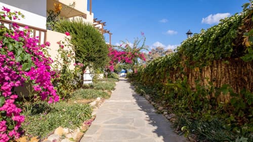 Dedalos Beach Hotel, 