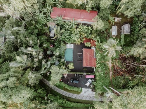 Daydream Lodge Tegallalang, 