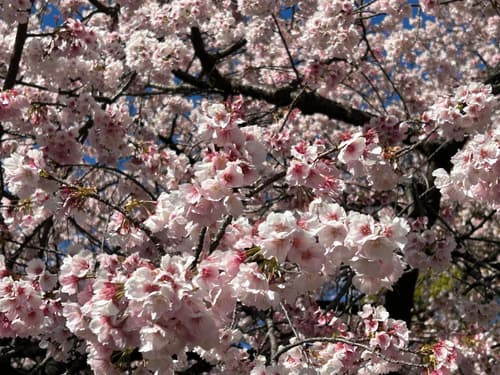 Hotel PRINCESS2 -大人専用-, 