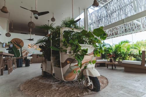 Siente Tulum Hotel & Cenote Club, 