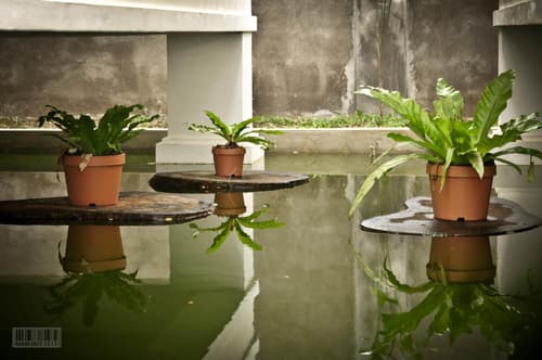 Cleon Villas Pension, 