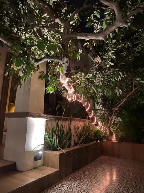 The Black Tree Hotel Colonial, 