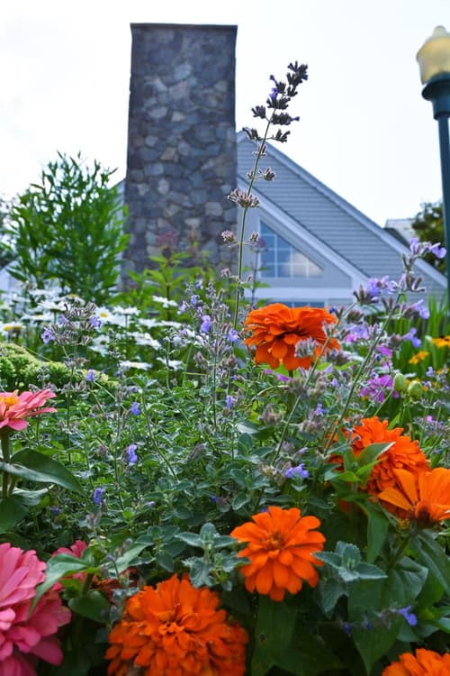 The Lodge at Jackson Village, 