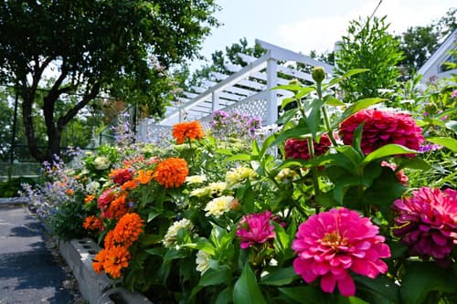 The Lodge at Jackson Village, 