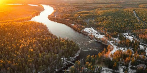 Vaattunki Wilderness Resort, 