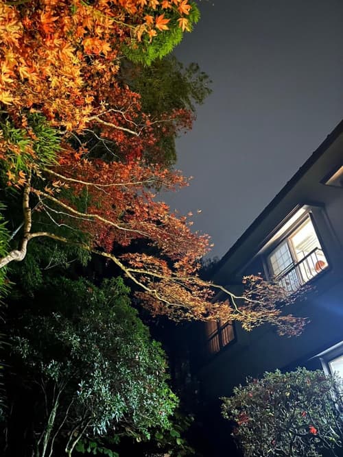 Fuji-Hakone Guest House, 