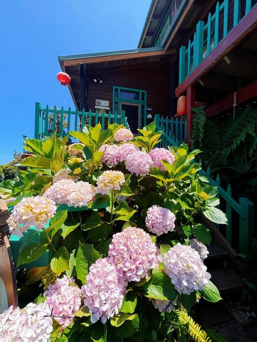 The Goat and Goose Bed & Breakfast, 