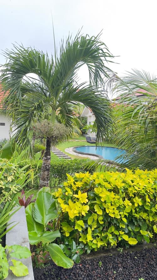 Kubu Selonding Villa, 