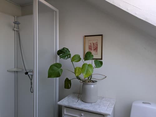 Restaurant Backhaus, 