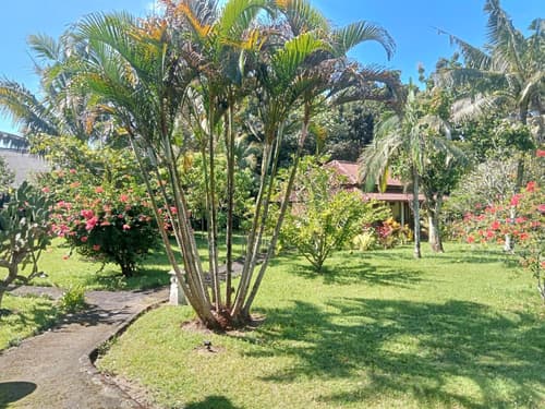 Guesthouse Rumah Senang, 