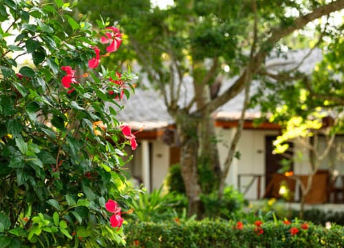 Lipa Lodge Beach Resort, 