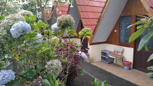 Rante Ijen Cafe & Homestay, 