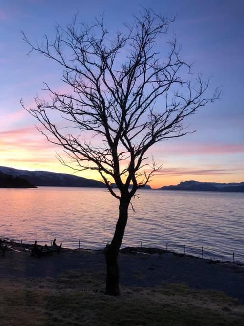 Brekkestranda Fjordhotel, 