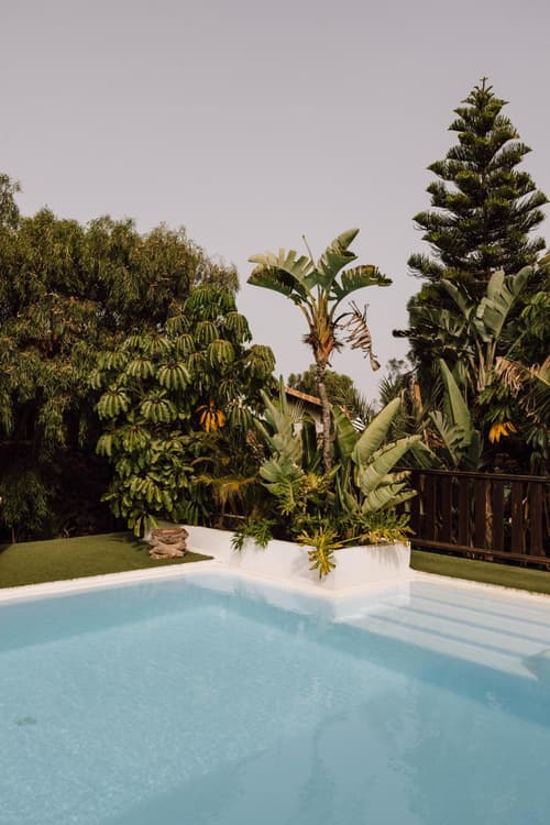 Surfescape Fuerteventura, 