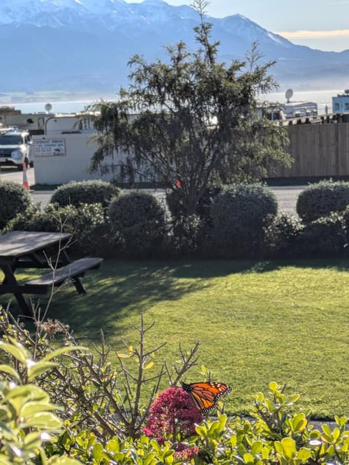 The Peninsula Kaikoura, 