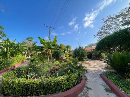 Zanzllywood Hotel and Apartments, 