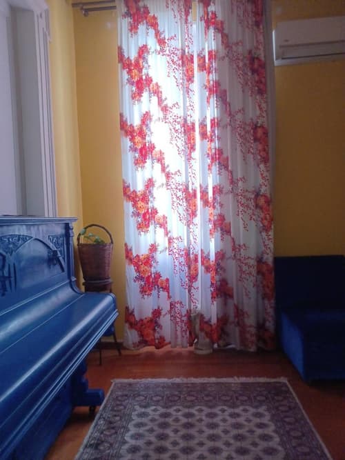 The monumental house, 