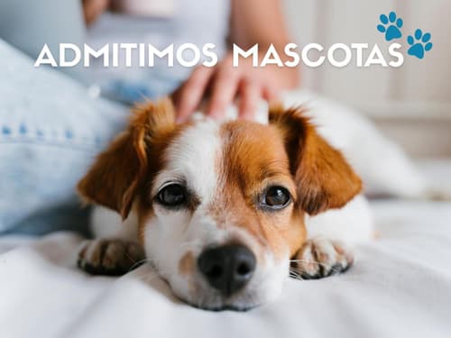 Hotel Pere D'Urg 3000, 