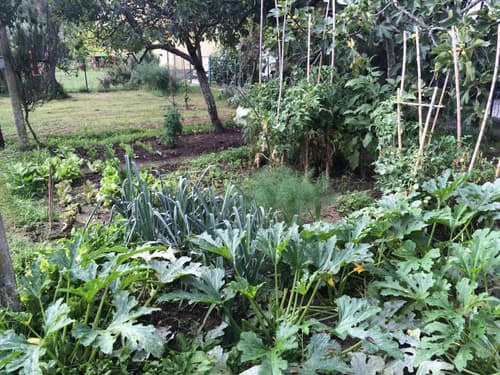 Residenza il Casone, 