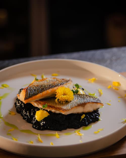 Ljubljana Resort Hotel & Camping, 