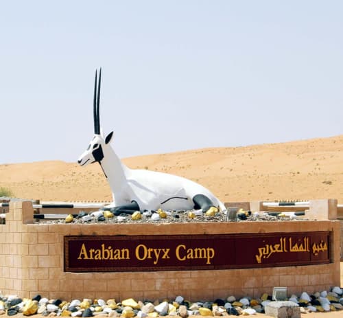 Arabian Oryx Camp, 