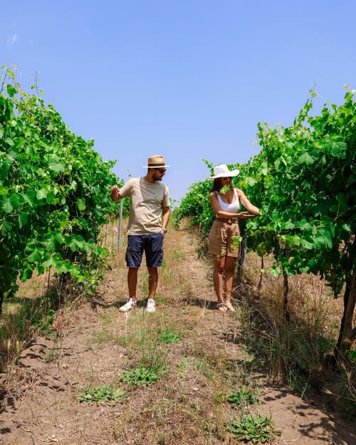 Vesuvio Inn Bed & Wine Experience, 