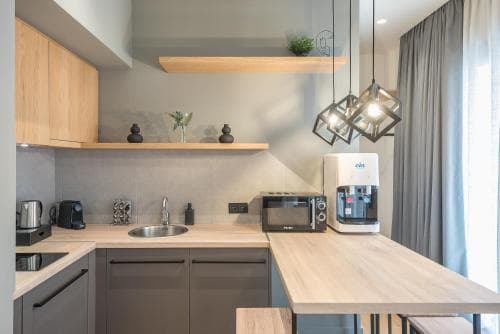 The  Asprogeraka  By Spaceers, 