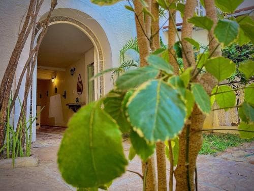 Pousada Casarao Jeri, 