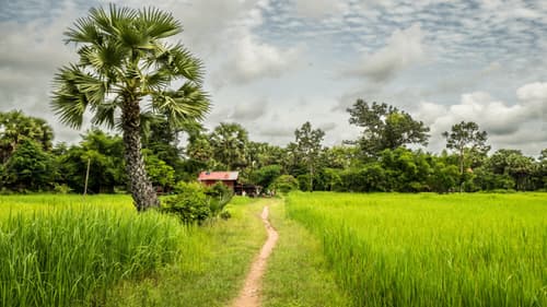 Circuit Cambodge Splendeurs et Traditions