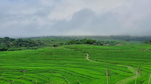 Nordvietnam - leichte Wanderung um Mai Chau