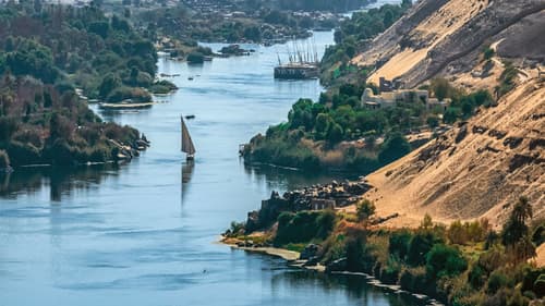 MIni Pharaons Superstar