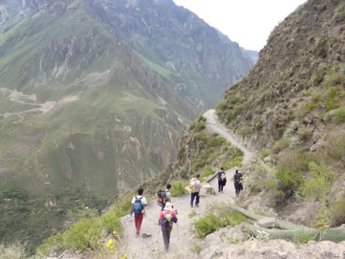 Trekking por el Cañon del Colca