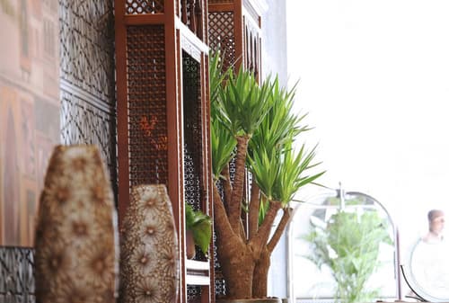 Spectrums Tahlia Jeddah, 