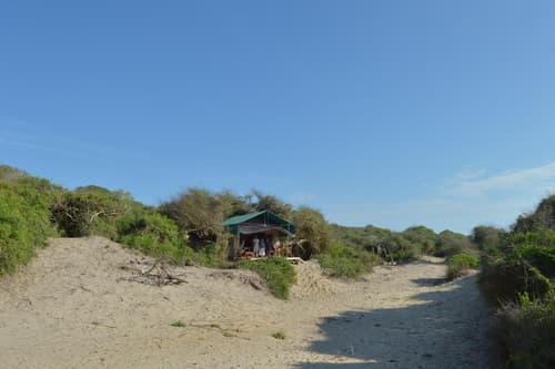 Back Of Beyond Dune Camp - Yala, 