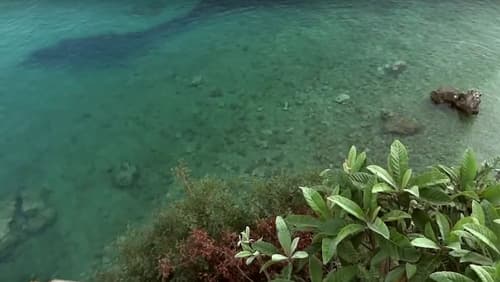 Oceanis Rooms Apartments, 