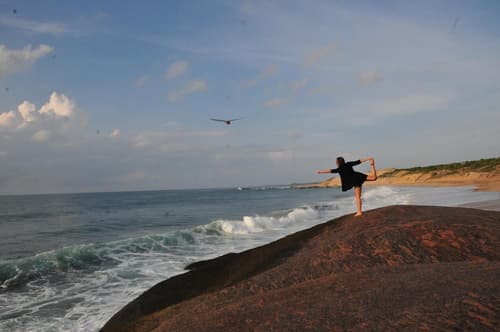 Back Of Beyond Dune Camp - Yala, 