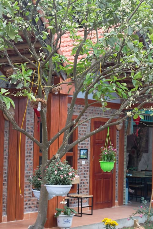 Tam Coc Moonlight Bungalow, 