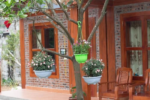 Tam Coc Moonlight Bungalow, 