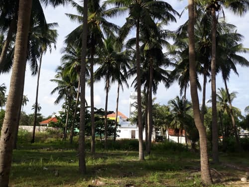 Damina Boutique Hotel - Hostel, 